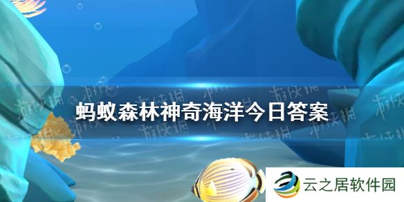 海仙人掌是以下哪种海洋生物 神奇海洋1月2日答案最新